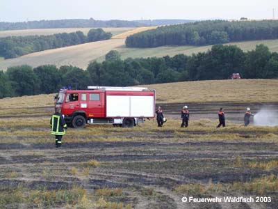Feuer030803-1